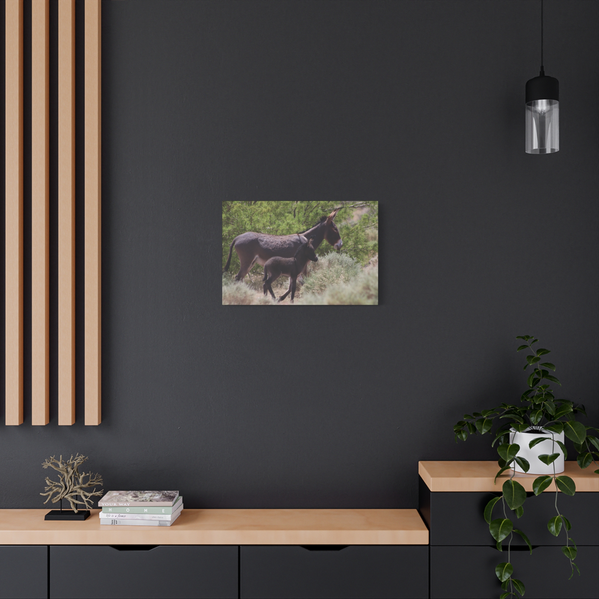 Father and Son Wild Donkeys in Nevada Wrapped Canvas Wall Art – Southwestern Desert Wildlife Photography – Burros in Nature Print Ready to Hang - Image 16