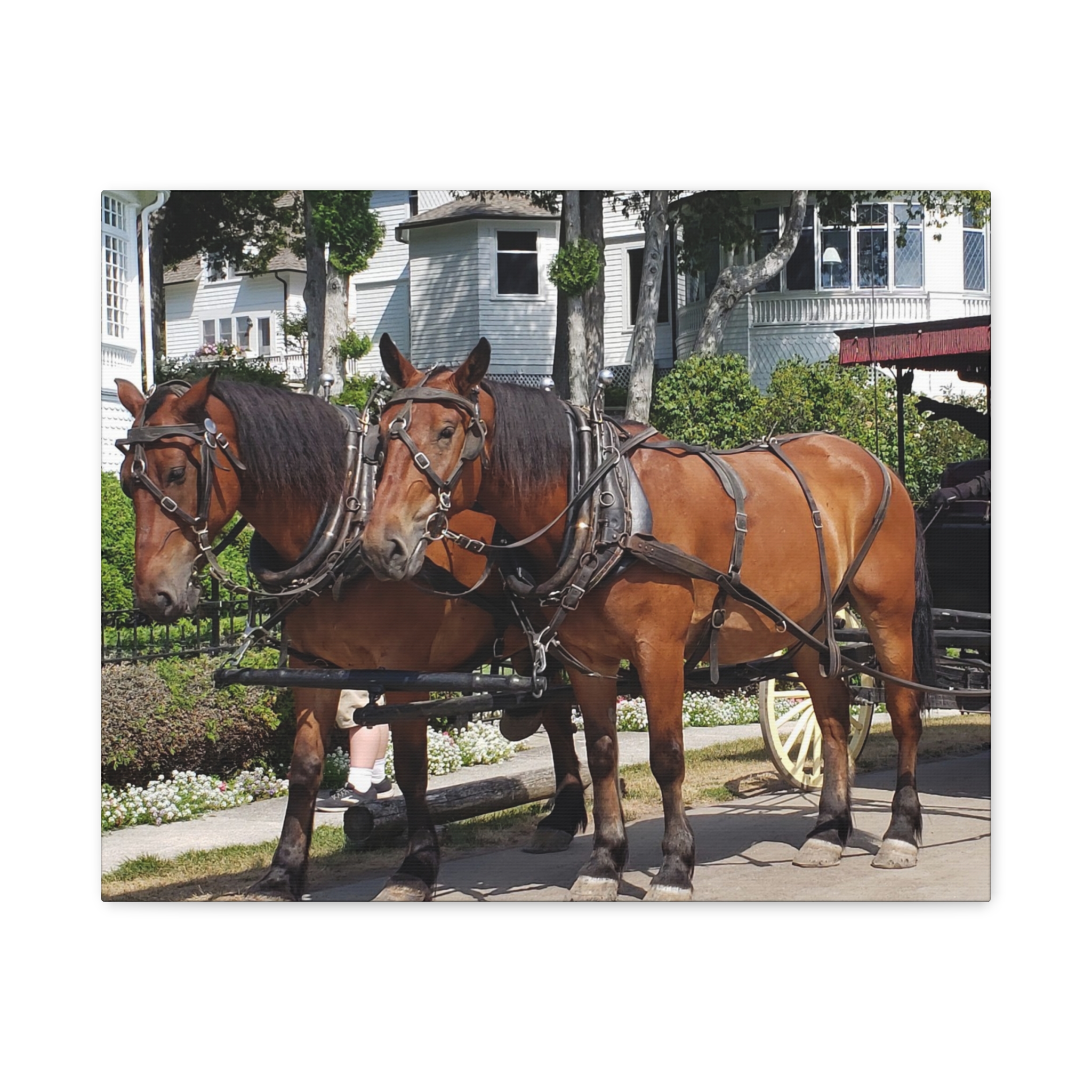 Horse and Carriage on West Bluff Mackinac Island Wrapped Canvas Wall Art – Historic Michigan Landmark Photography – Great Lakes Travel Décor – Horses, Carriage Rides, and Victorian Island Homes Print... - Image 9
