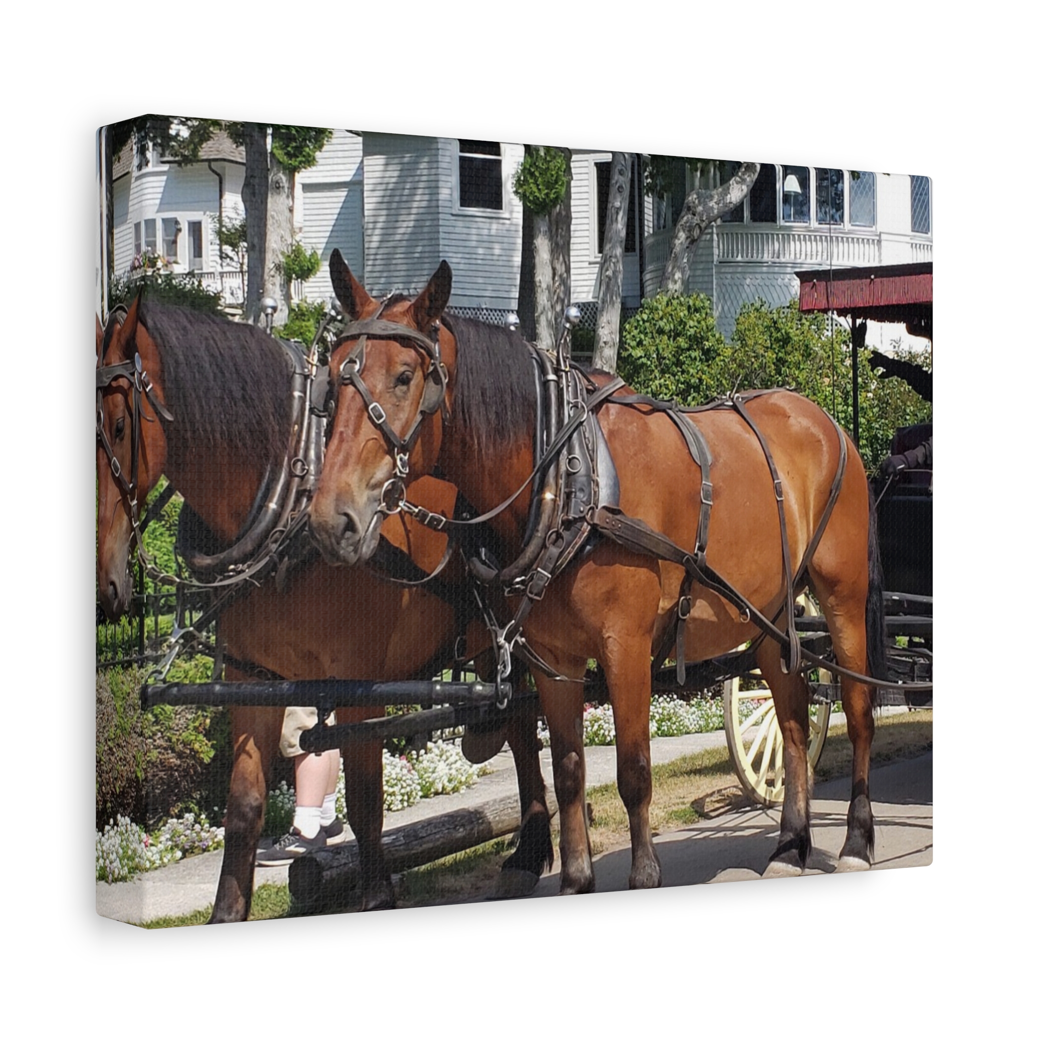 Horse and Carriage on West Bluff Mackinac Island Wrapped Canvas Wall Art – Historic Michigan Landmark Photography – Great Lakes Travel Décor – Horses, Carriage Rides, and Victorian Island Homes Print... - Image 2