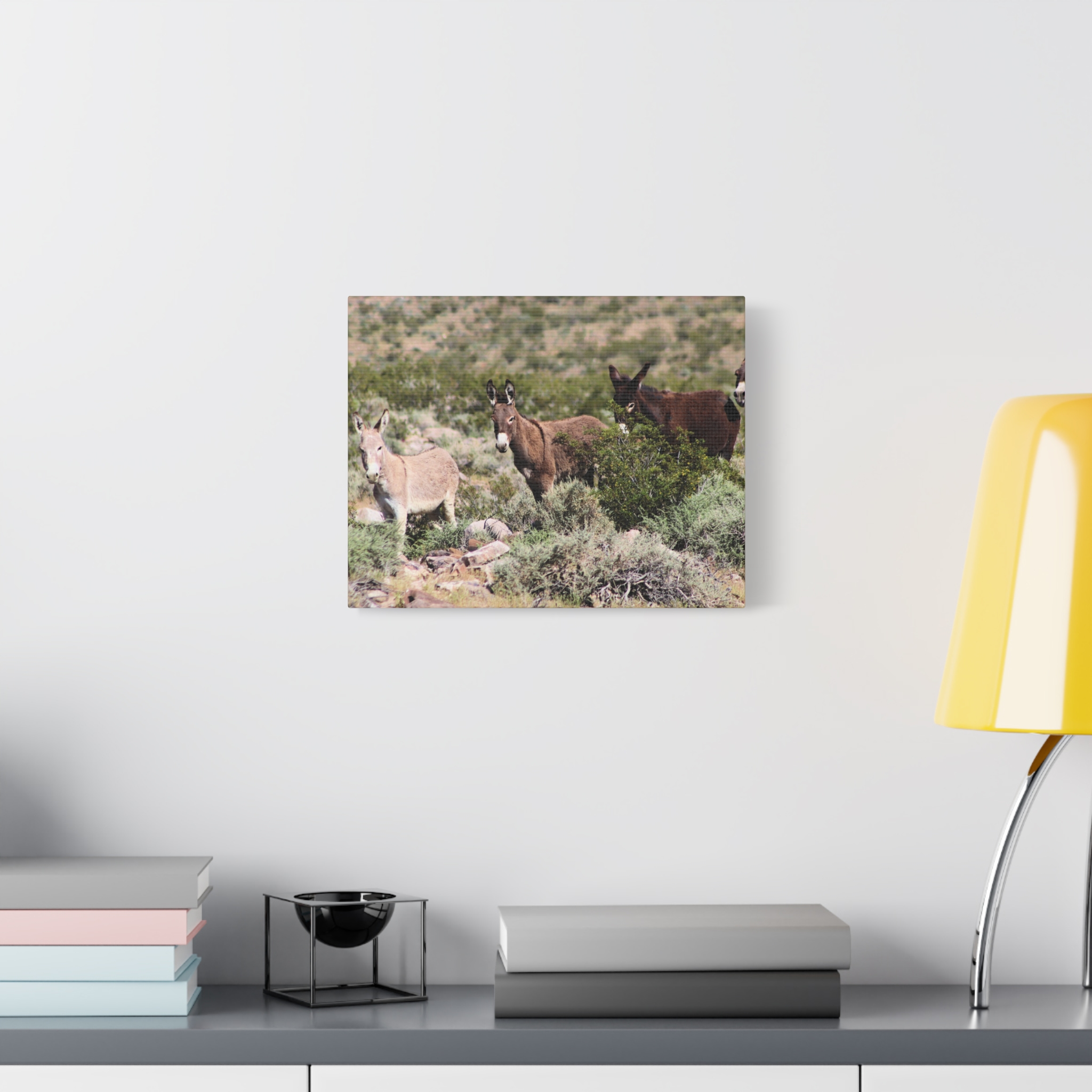 Wild Donkey Family in Nevada Wrapped Canvas Wall Art – Desert Wildlife Photography – Burros in Natural Habitat Gallery Print Ready to Hang - Image 7