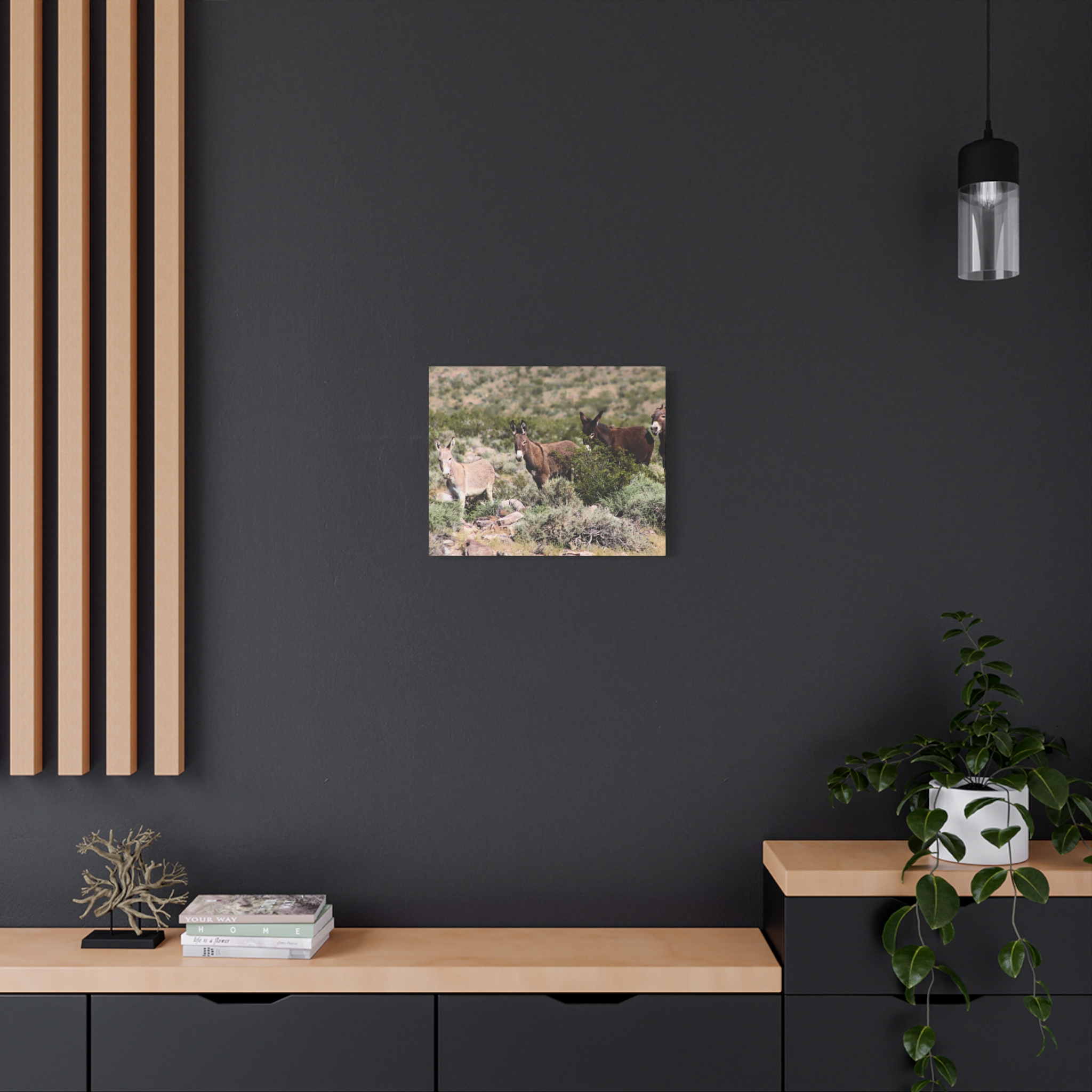 Wild Donkey Family in Nevada Wrapped Canvas Wall Art – Desert Wildlife Photography – Burros in Natural Habitat Gallery Print Ready to Hang - Image 12