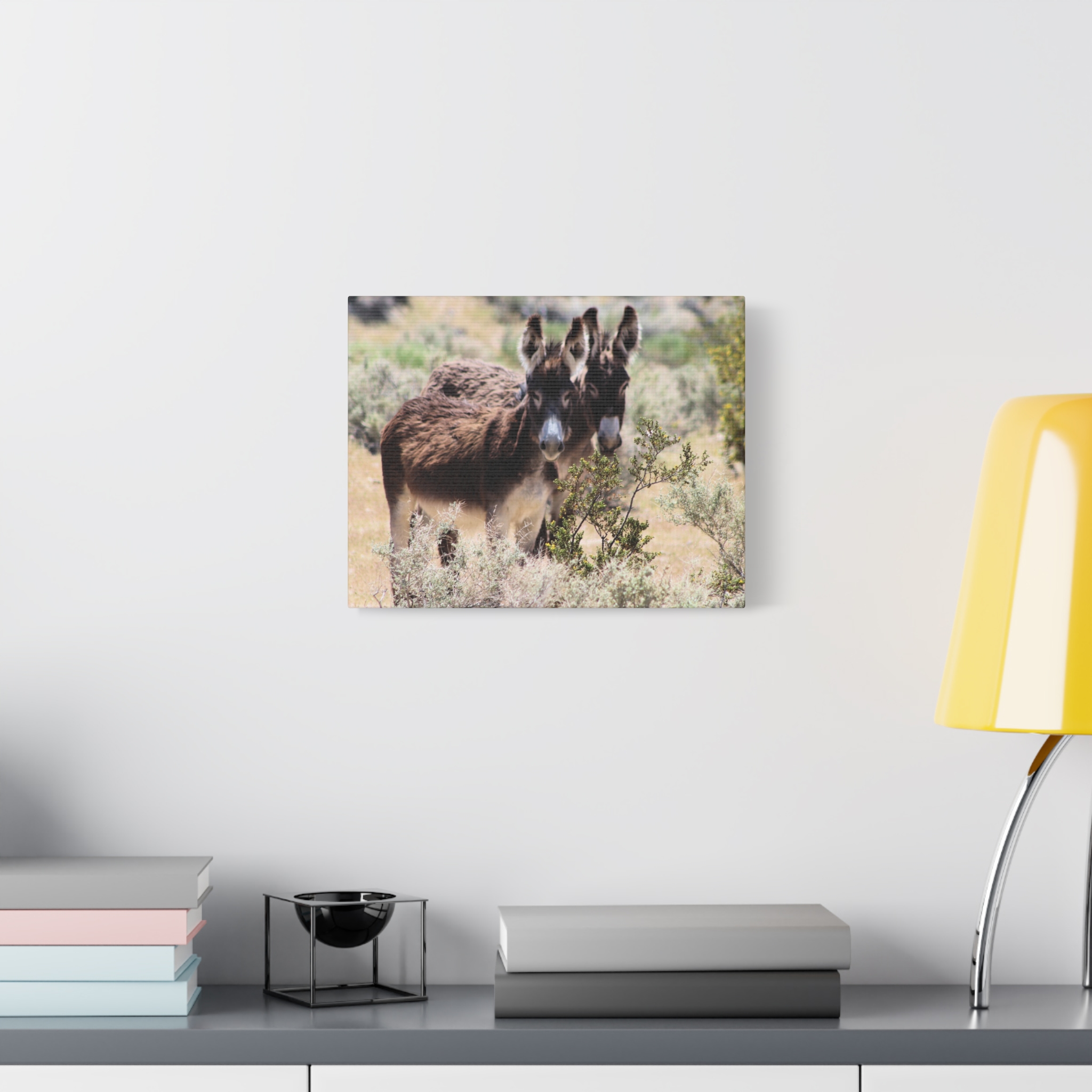Wild Donkey Couple in Nevada Wrapped Canvas Wall Art – Desert Wildlife Photography – Burros in Natural Habitat Gallery Print Ready to Hang - Image 7