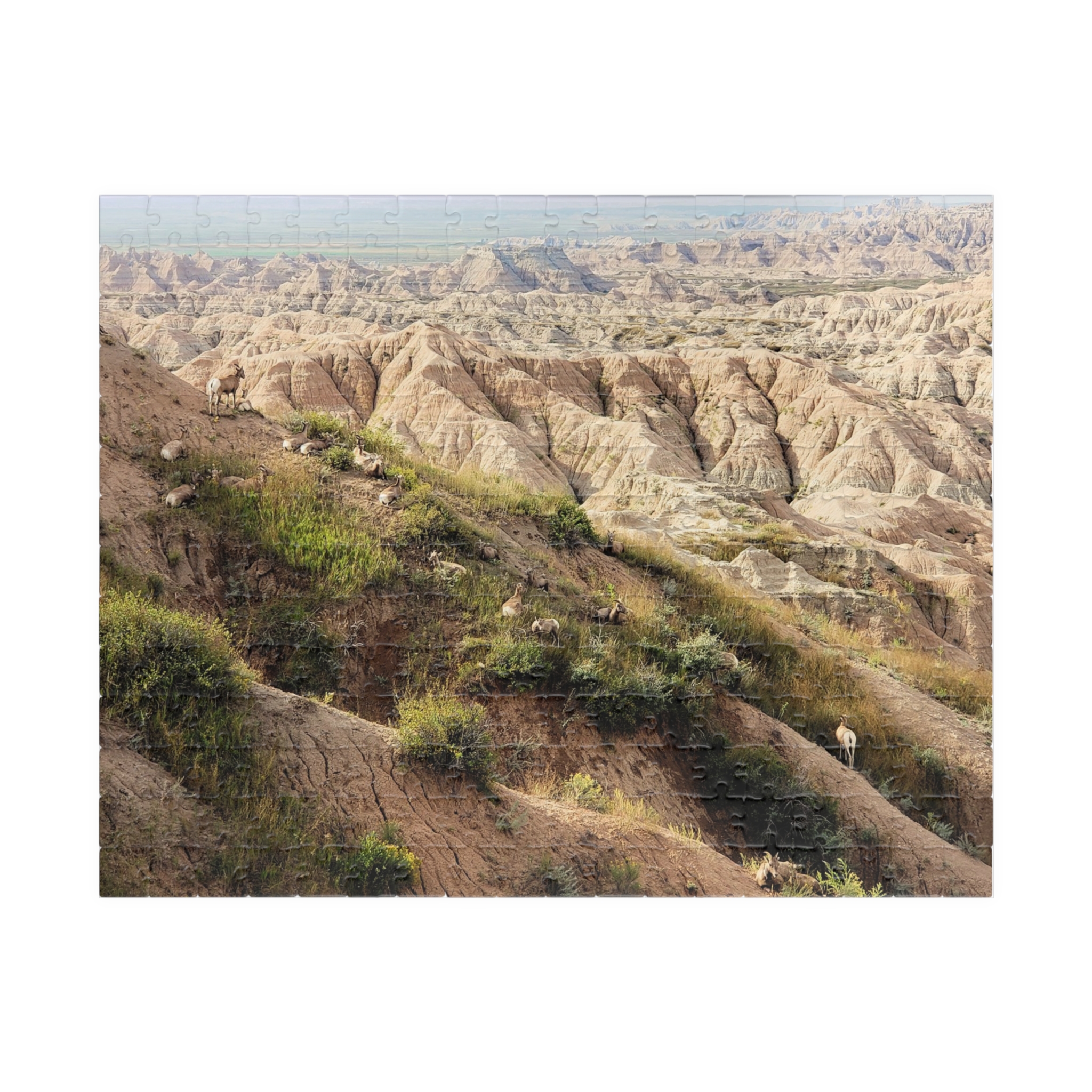 Bighorn Sheep Herd Puzzle Featuring Badlands National Park Landscape - Multiple Sizes - Image 5