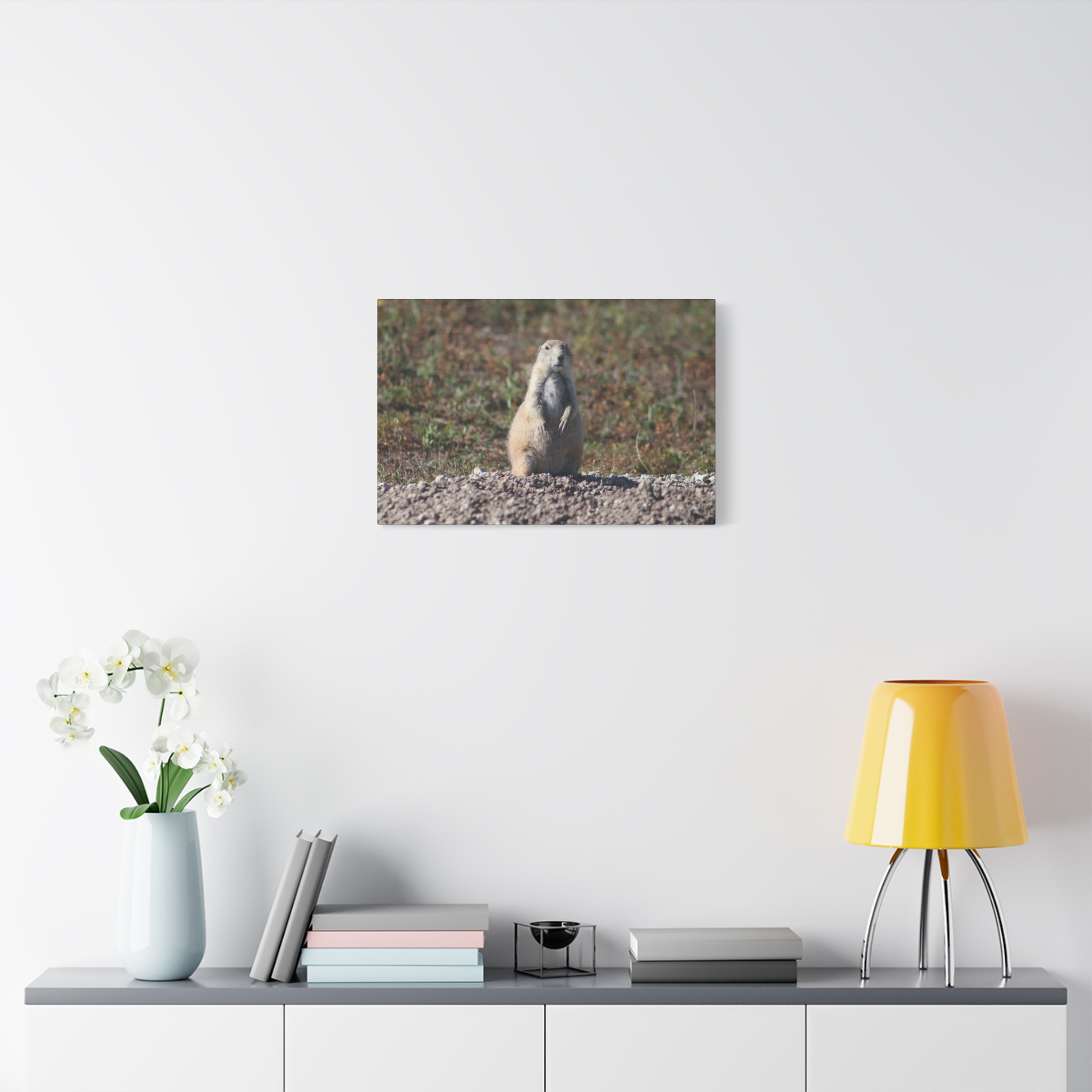 Prairie Dog Wrapped Canvas Wall Art – Badlands National Park, South Dakota Wildlife and Prairie Landscape Photography – Gallery-Wrapped, Ready-to-Hang Rustic Western Home Décor - Image 15