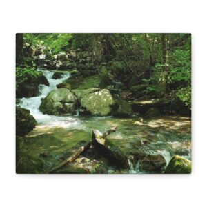 Cumberland Gap Mountain Stream Photography – Serene Appalachian Forest Creek Wrapped Canvas Wall Art Tennessee Landscape Décor