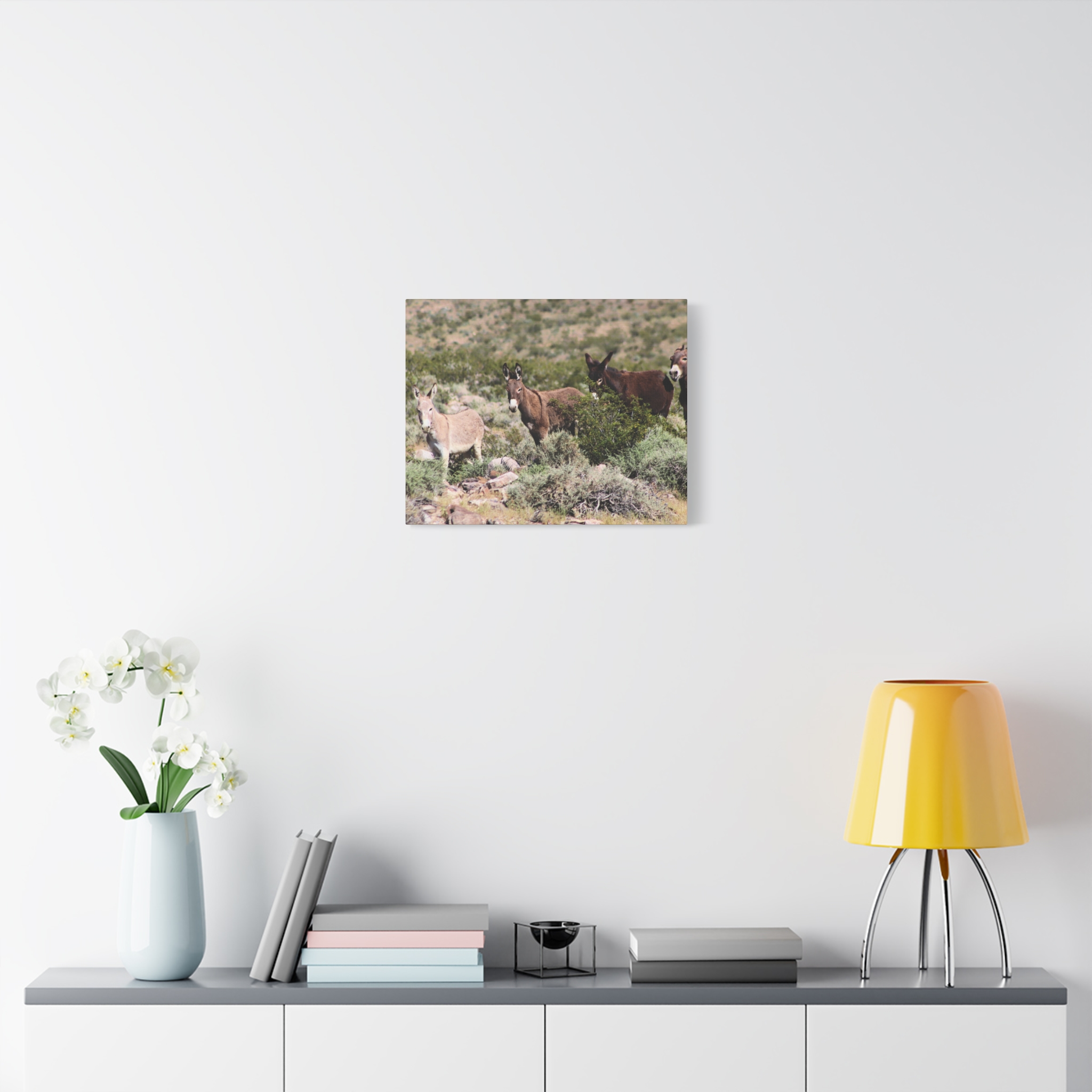 Wild Donkey Family in Nevada Wrapped Canvas Wall Art – Desert Wildlife Photography – Burros in Natural Habitat Gallery Print Ready to Hang - Image 11
