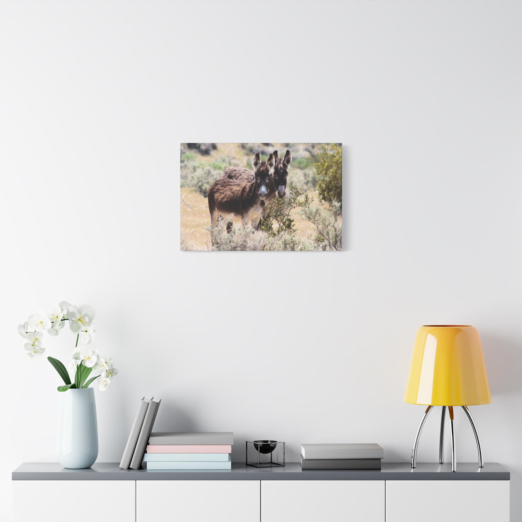 Wild Donkey Couple in Nevada Wrapped Canvas Wall Art – Desert Wildlife Photography – Burros in Natural Habitat Gallery Print Ready to Hang - Image 15
