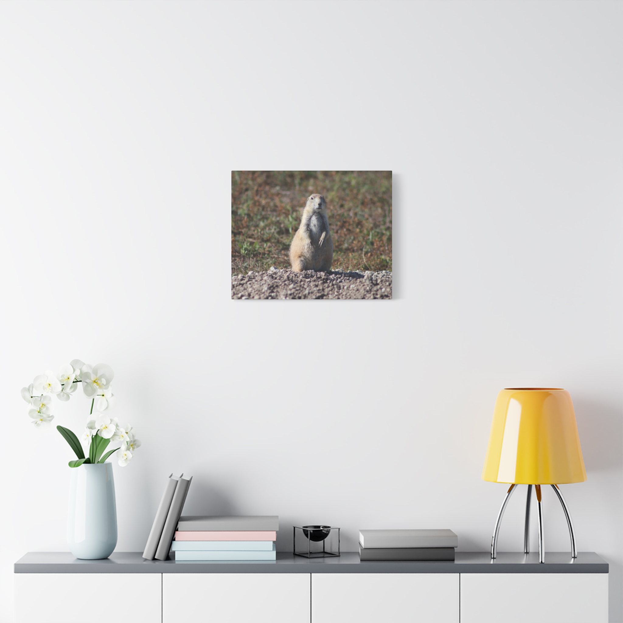 Prairie Dog Wrapped Canvas Wall Art – Badlands National Park, South Dakota Wildlife and Prairie Landscape Photography – Gallery-Wrapped, Ready-to-Hang Rustic Western Home Décor - Image 11