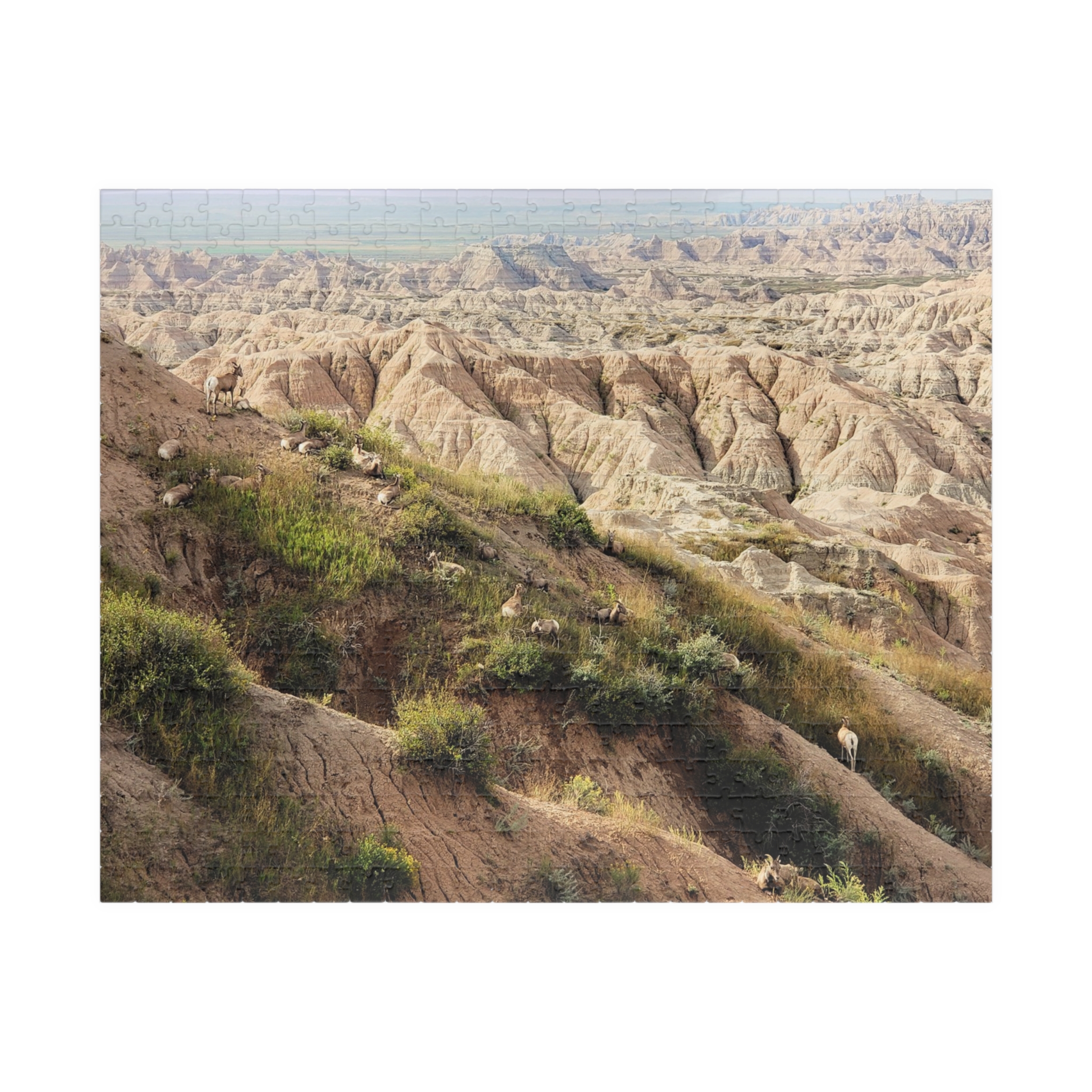 Bighorn Sheep Herd Puzzle Featuring Badlands National Park Landscape - Multiple Sizes - Image 9