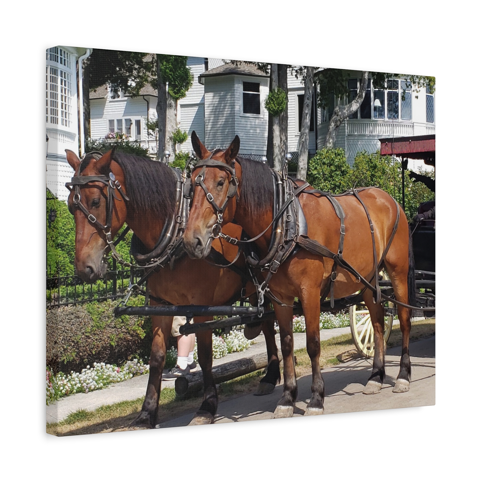 Horse and Carriage on West Bluff Mackinac Island Wrapped Canvas Wall Art – Historic Michigan Landmark Photography – Great Lakes Travel Décor – Horses, Carriage Rides, and Victorian Island Homes Print... - Image 10