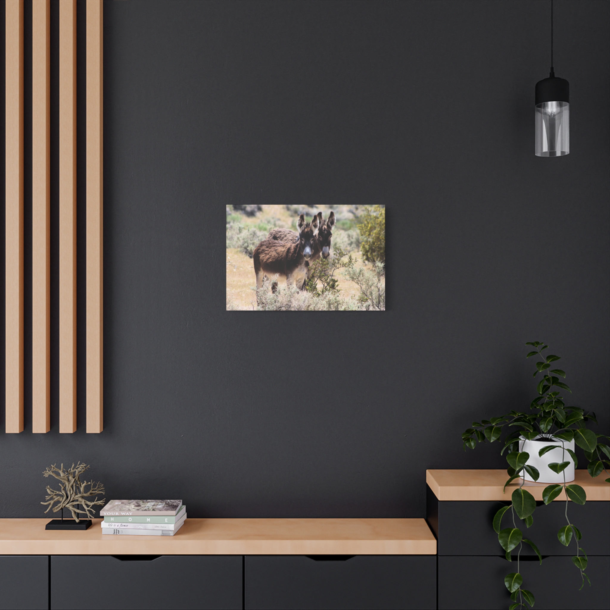 Wild Donkey Couple in Nevada Wrapped Canvas Wall Art – Desert Wildlife Photography – Burros in Natural Habitat Gallery Print Ready to Hang - Image 16