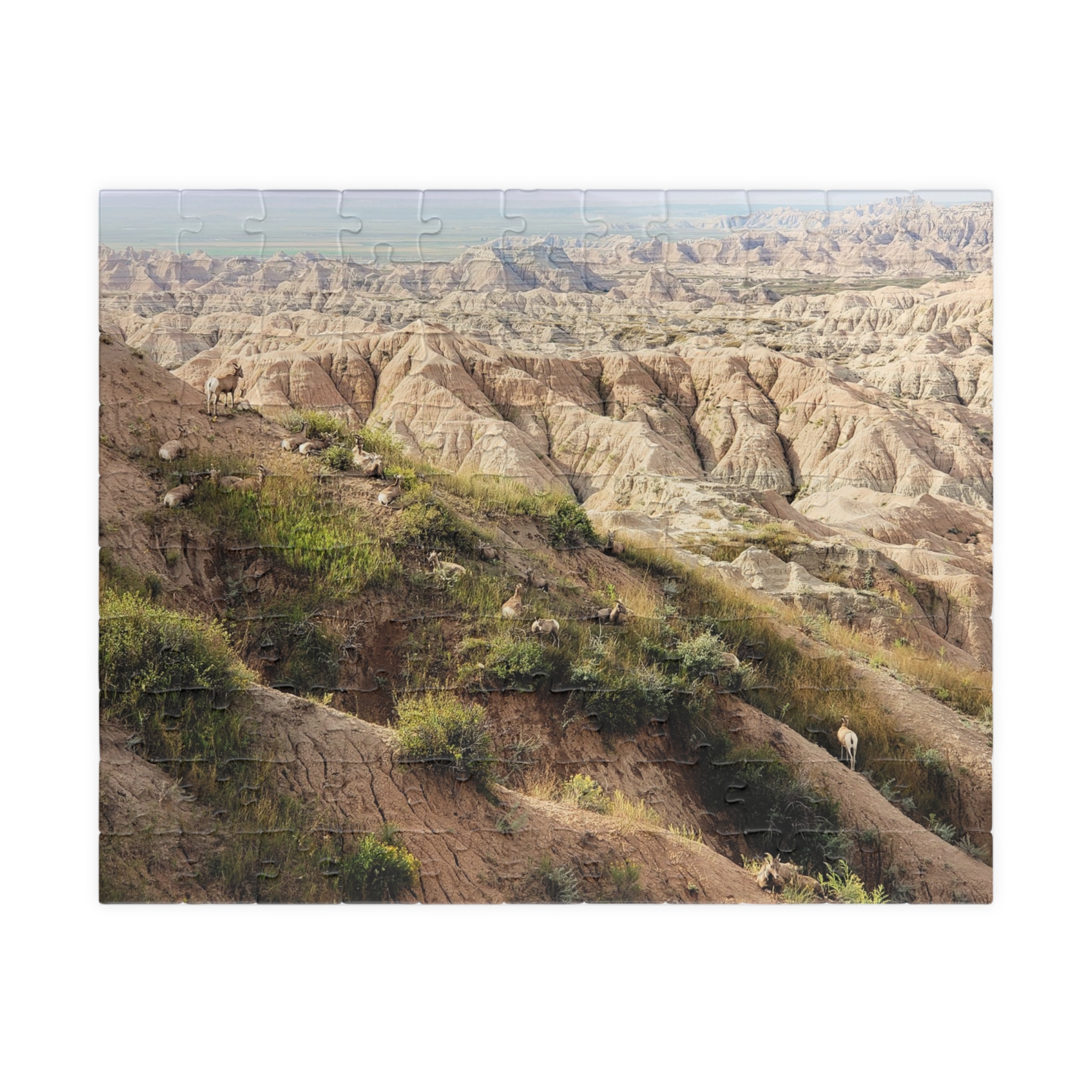 Bighorn Sheep Herd Puzzle Featuring Badlands National Park Landscape - Multiple Sizes
