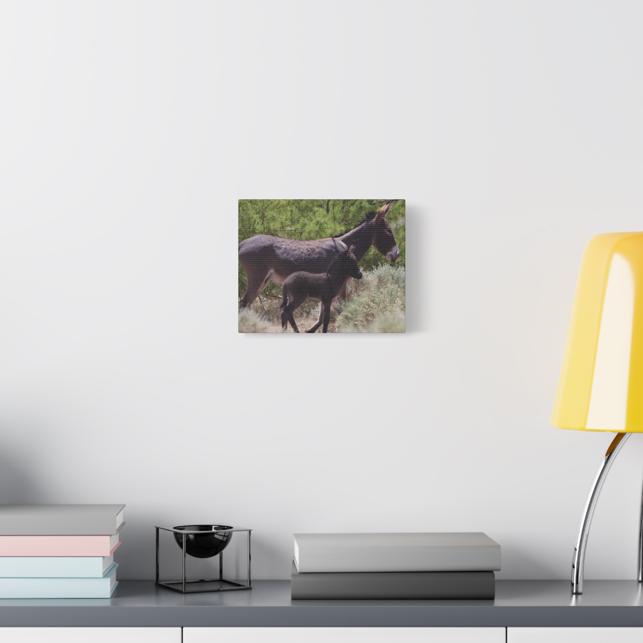 Father and Son Wild Donkeys in Nevada Wrapped Canvas Wall Art – Southwestern Desert Wildlife Photography – Burros in Nature Print Ready to Hang - Image 3