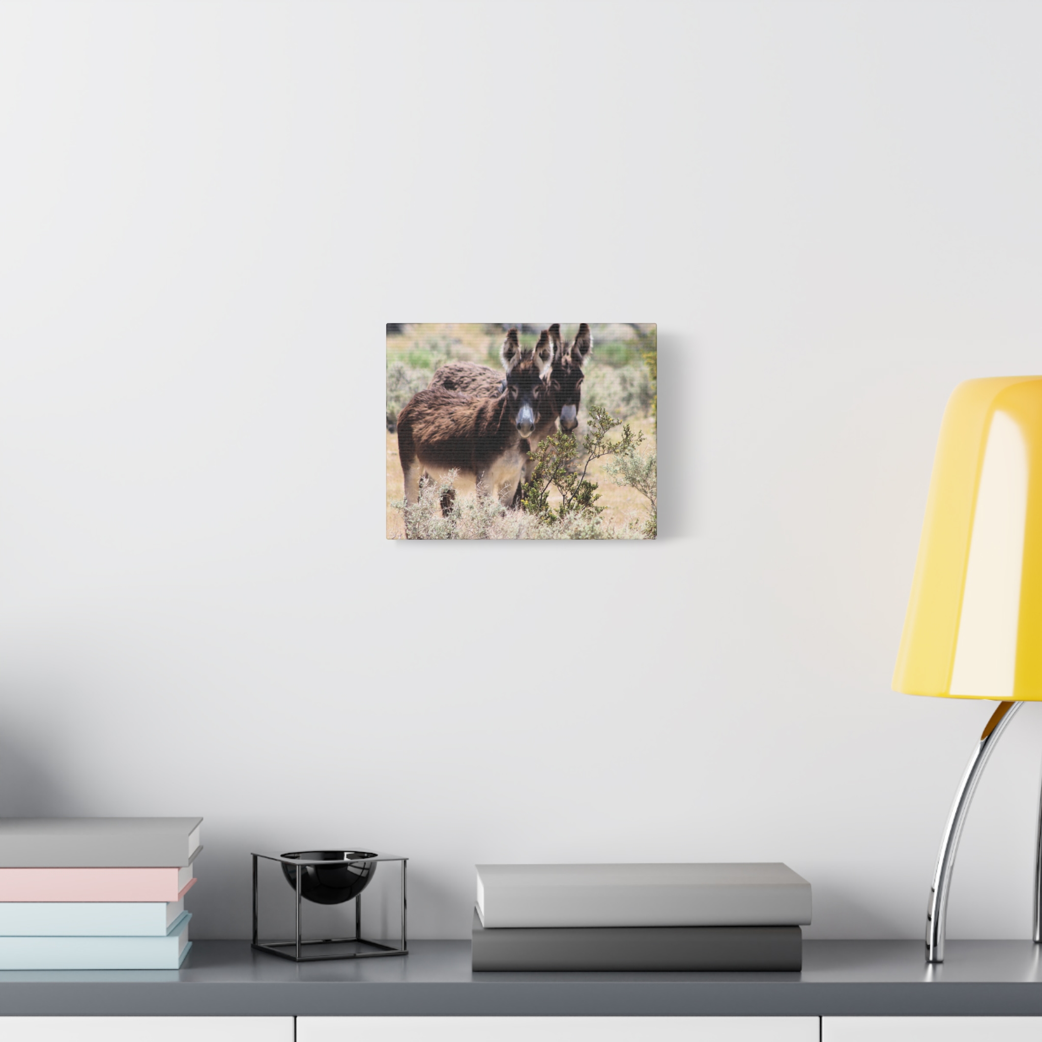 Wild Donkey Couple in Nevada Wrapped Canvas Wall Art – Desert Wildlife Photography – Burros in Natural Habitat Gallery Print Ready to Hang - Image 3