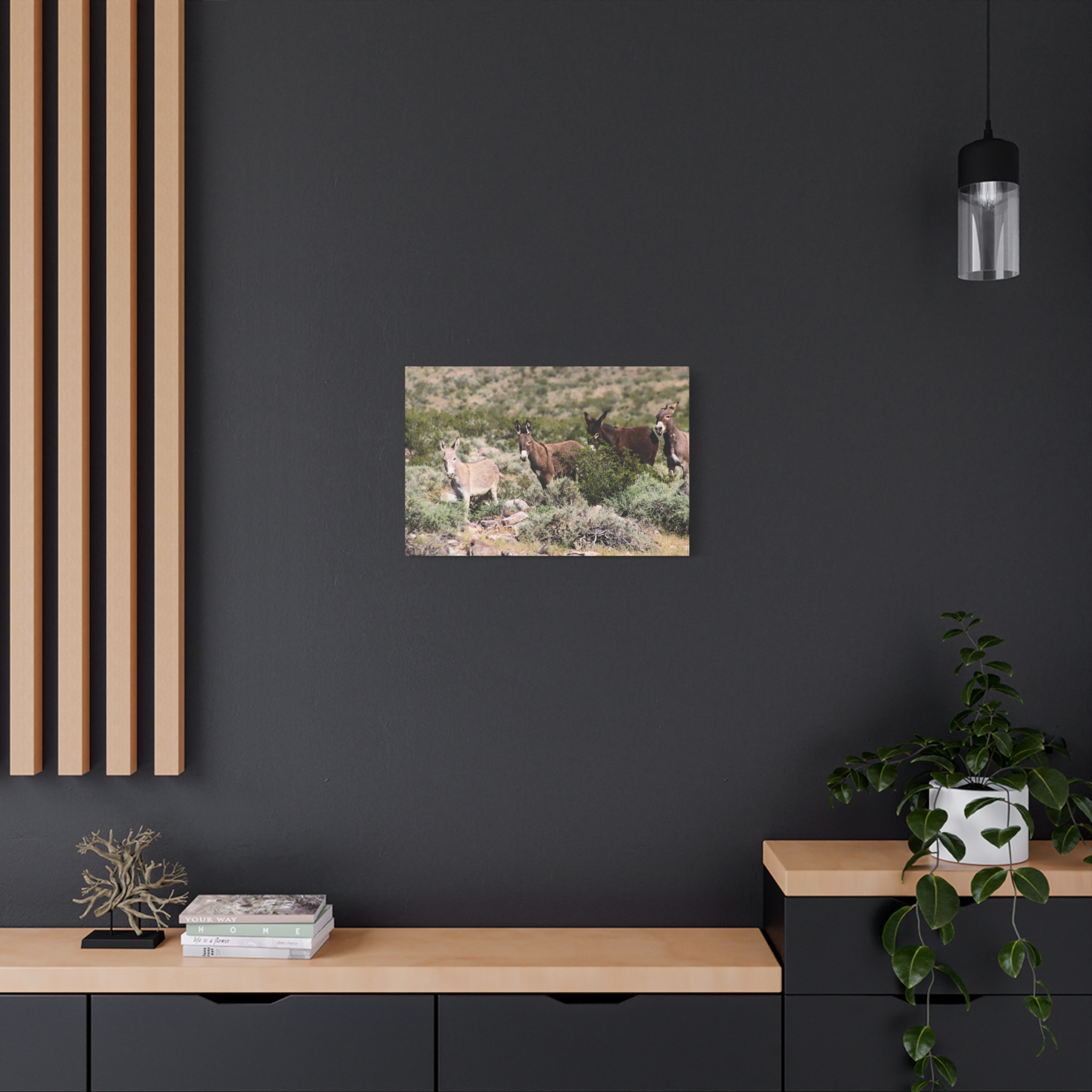 Wild Donkey Family in Nevada Wrapped Canvas Wall Art – Desert Wildlife Photography – Burros in Natural Habitat Gallery Print Ready to Hang - Image 16