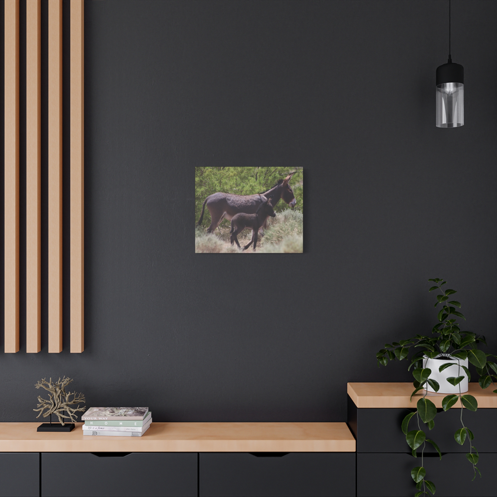 Father and Son Wild Donkeys in Nevada Wrapped Canvas Wall Art – Southwestern Desert Wildlife Photography – Burros in Nature Print Ready to Hang - Image 12