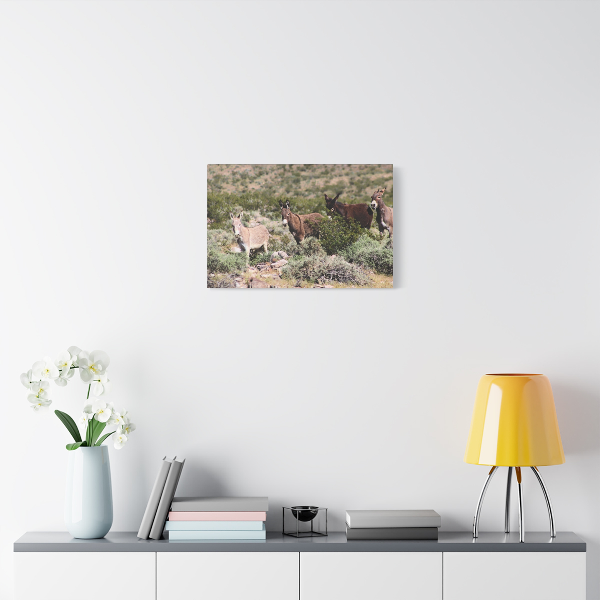 Wild Donkey Family in Nevada Wrapped Canvas Wall Art – Desert Wildlife Photography – Burros in Natural Habitat Gallery Print Ready to Hang - Image 15