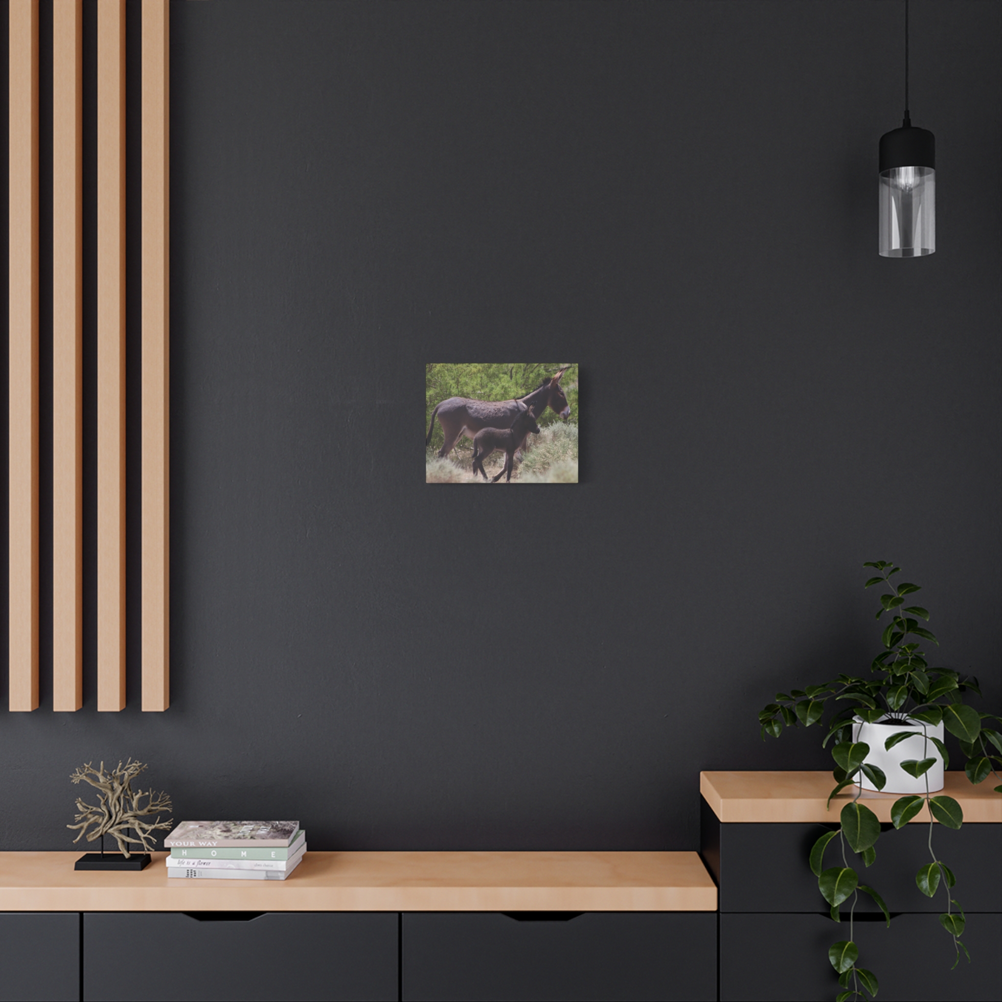 Father and Son Wild Donkeys in Nevada Wrapped Canvas Wall Art – Southwestern Desert Wildlife Photography – Burros in Nature Print Ready to Hang - Image 8