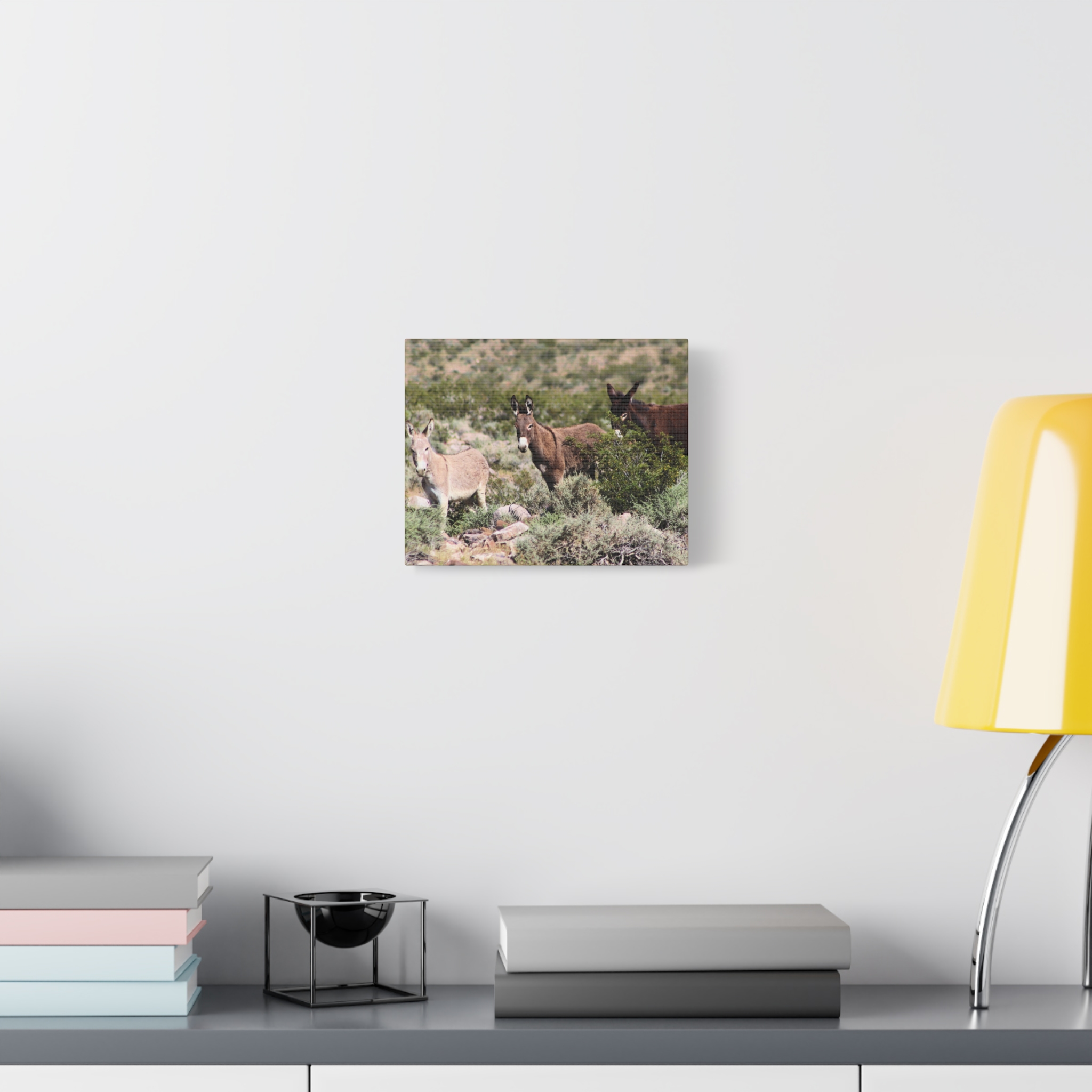 Wild Donkey Family in Nevada Wrapped Canvas Wall Art – Desert Wildlife Photography – Burros in Natural Habitat Gallery Print Ready to Hang - Image 3