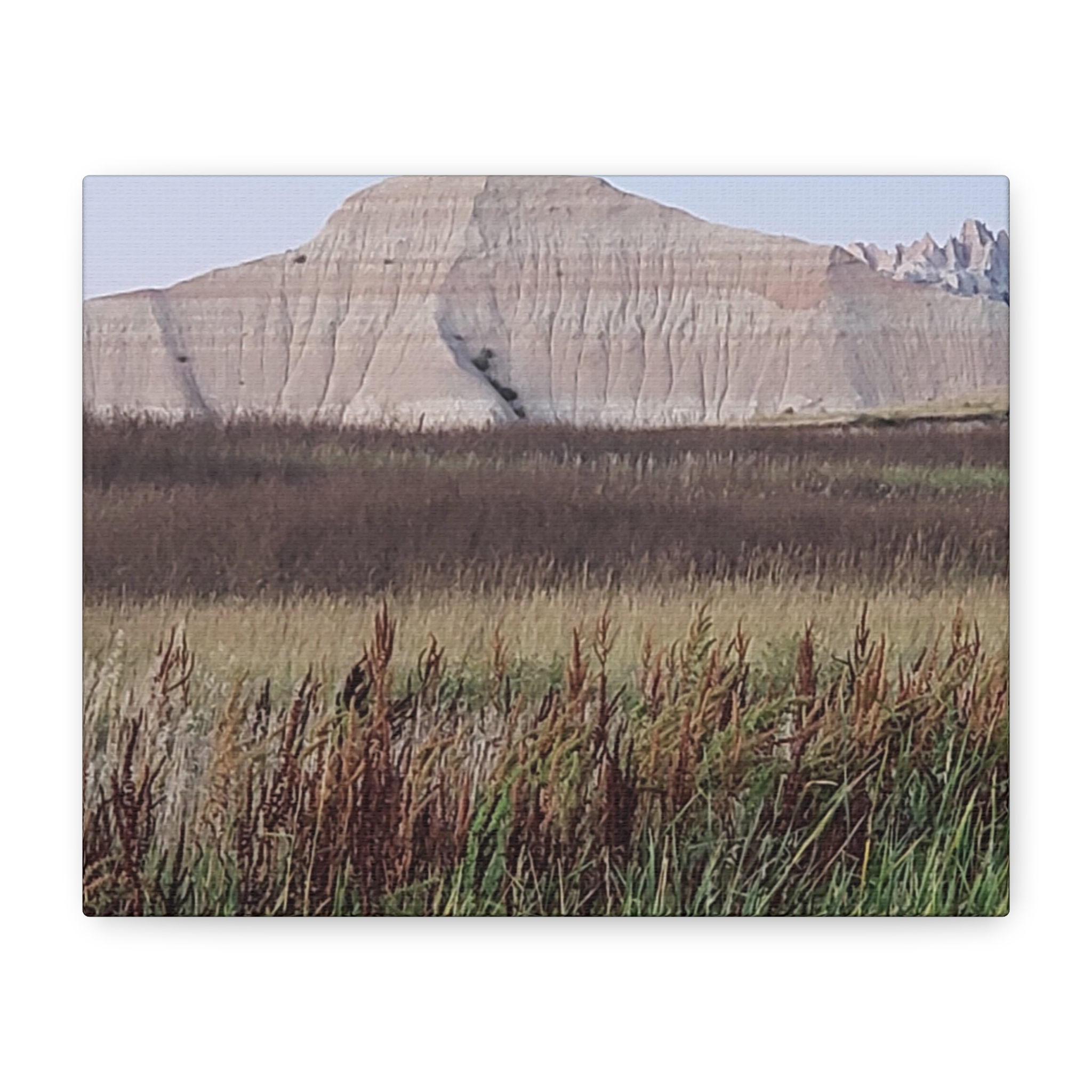 Badlands National Park South Dakota Wrapped Canvas Wall Art | Reeds, Prairie Grass, and Buttes Scenic Landscape Photography | Rustic Western Nature Décor