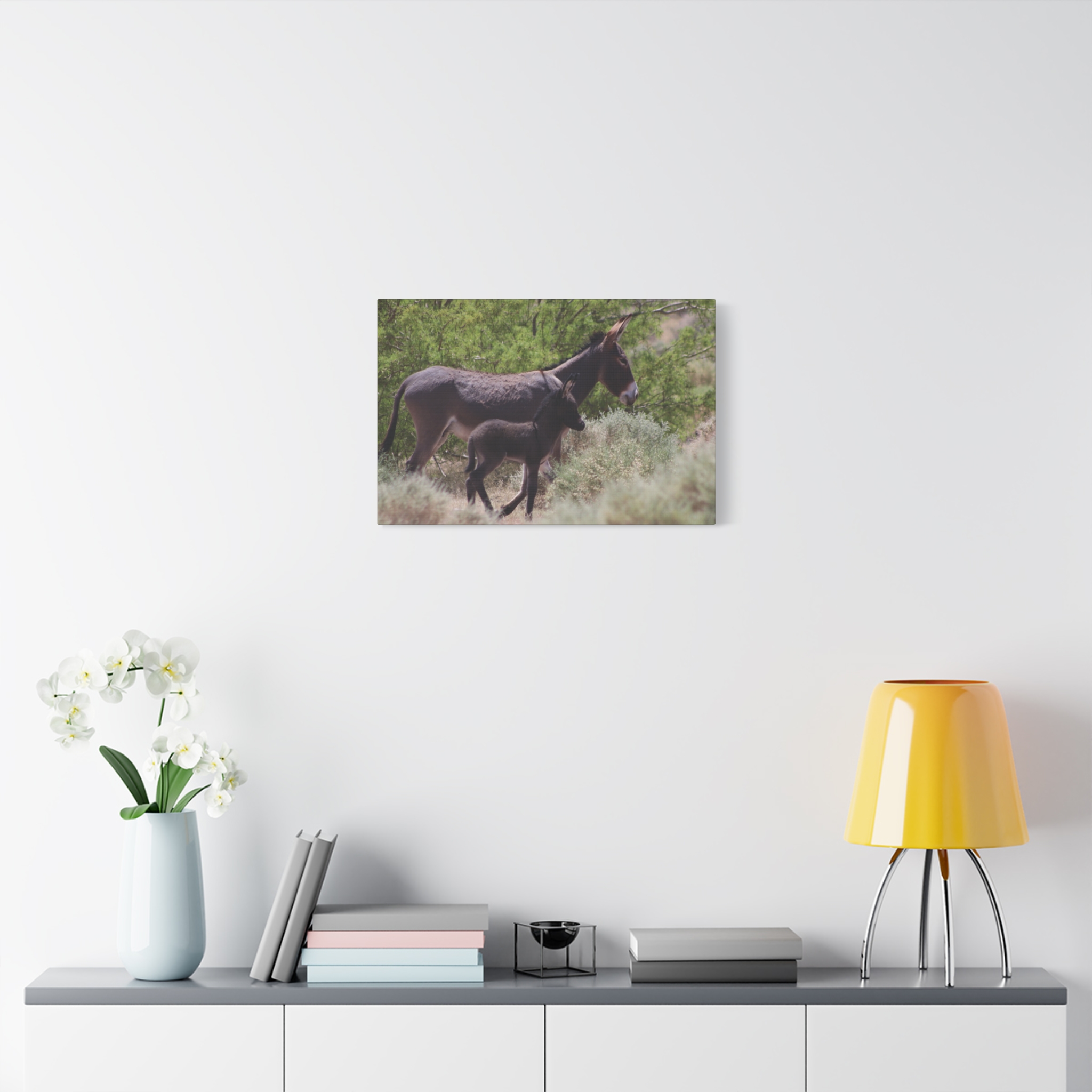 Father and Son Wild Donkeys in Nevada Wrapped Canvas Wall Art – Southwestern Desert Wildlife Photography – Burros in Nature Print Ready to Hang - Image 15