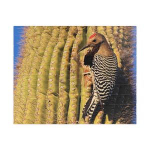 GentleSeas Puzzle Featuring Gila Woodpecker on Saguaro Cactus at Kofa National Wildlife Refuge - Scenic Landscape Photography Puzzle