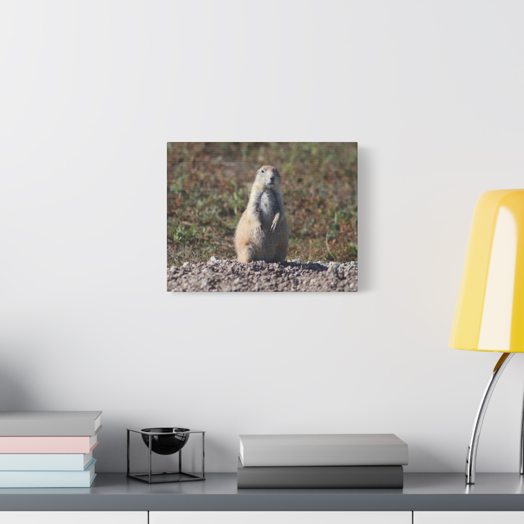 Prairie Dog Wrapped Canvas Wall Art – Badlands National Park, South Dakota Wildlife and Prairie Landscape Photography – Gallery-Wrapped, Ready-to-Hang Rustic Western Home Décor - Image 7