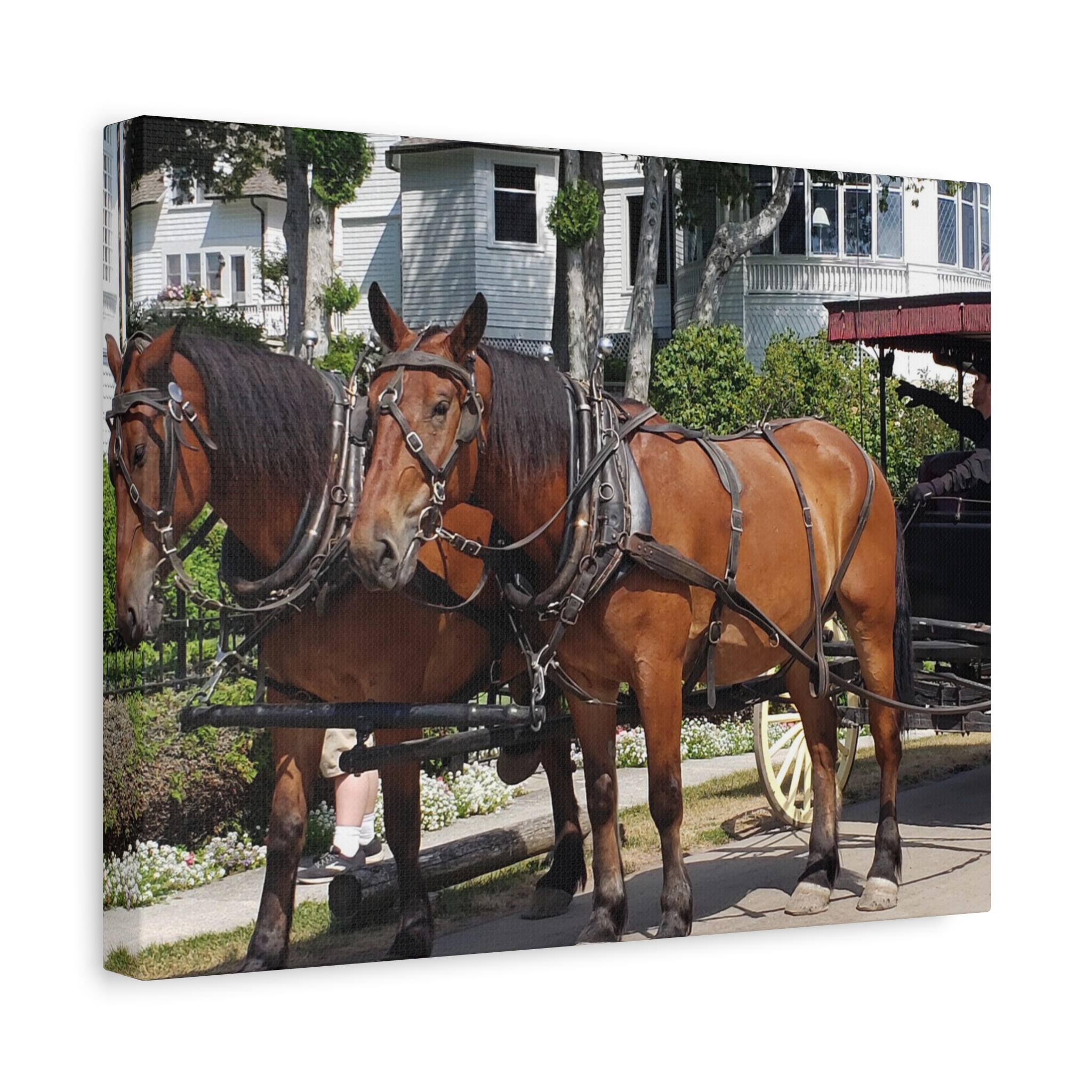 Horse and Carriage on West Bluff Mackinac Island Wrapped Canvas Wall Art – Historic Michigan Landmark Photography – Great Lakes Travel Décor – Horses, Carriage Rides, and Victorian Island Homes Print... - Image 6