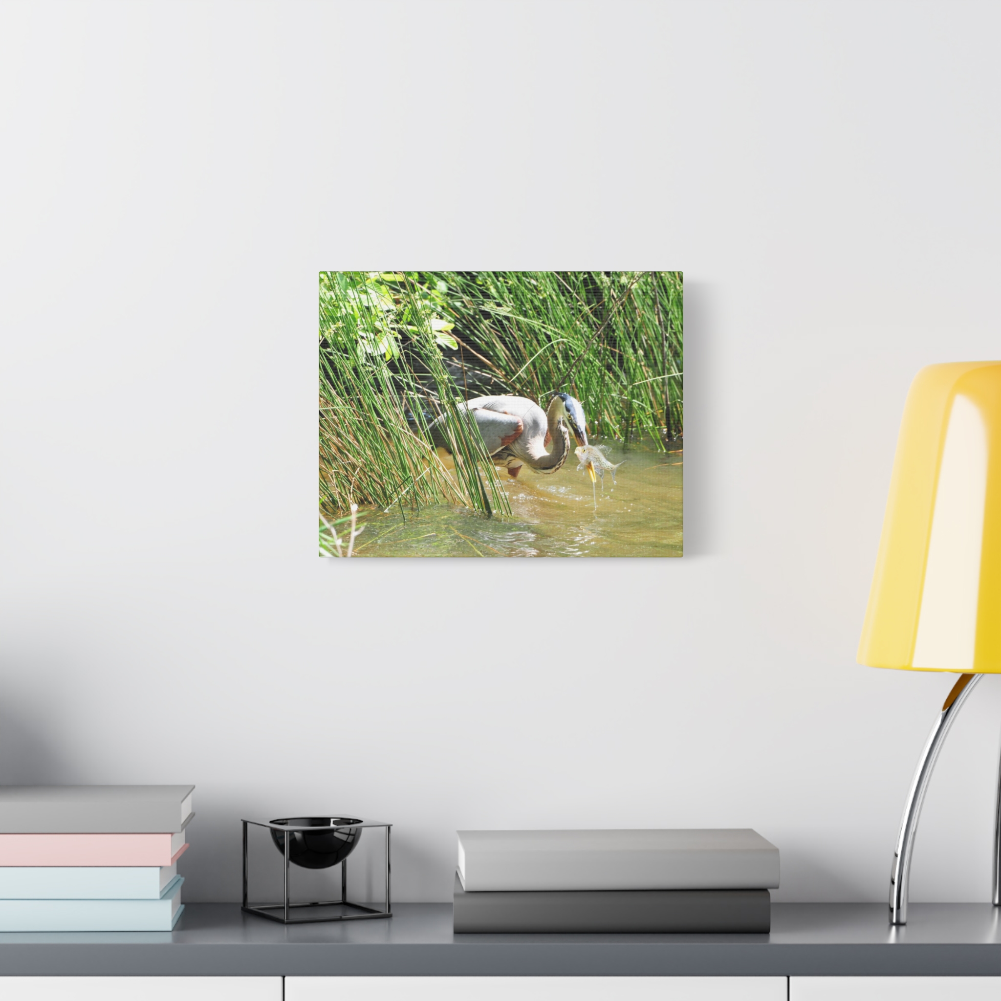 Gallery Wrapped Canvas Wall Art – Great Blue Heron with Fish in Reeds – North Carolina Wetlands Wildlife Photography Coastal Bird Decor - Image 7
