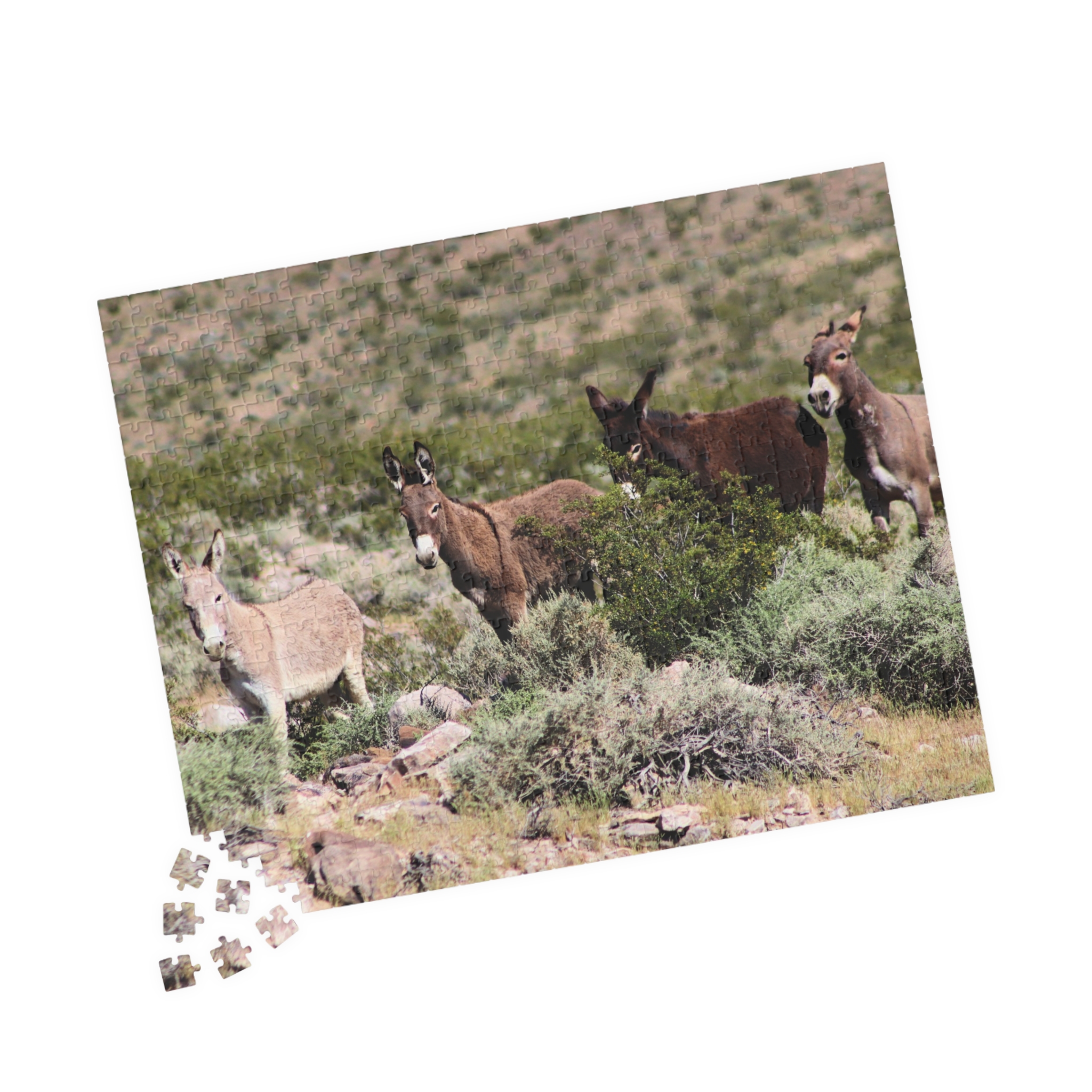 Wild Donkey Family Puzzle Featuring Original Scenic Photography of Western Nevada Landscape - Image 11