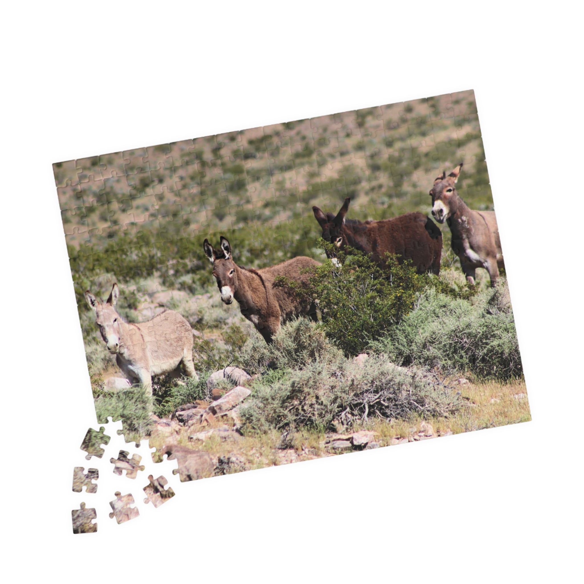 Wild Donkey Family Puzzle Featuring Original Scenic Photography of Western Nevada Landscape - Image 7
