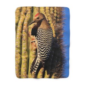 Sherpa Fleece Blanket Featuring Gila Woodpecker on Saguaro Cactus at Kofa National Wildlife Refuge, Original Photography