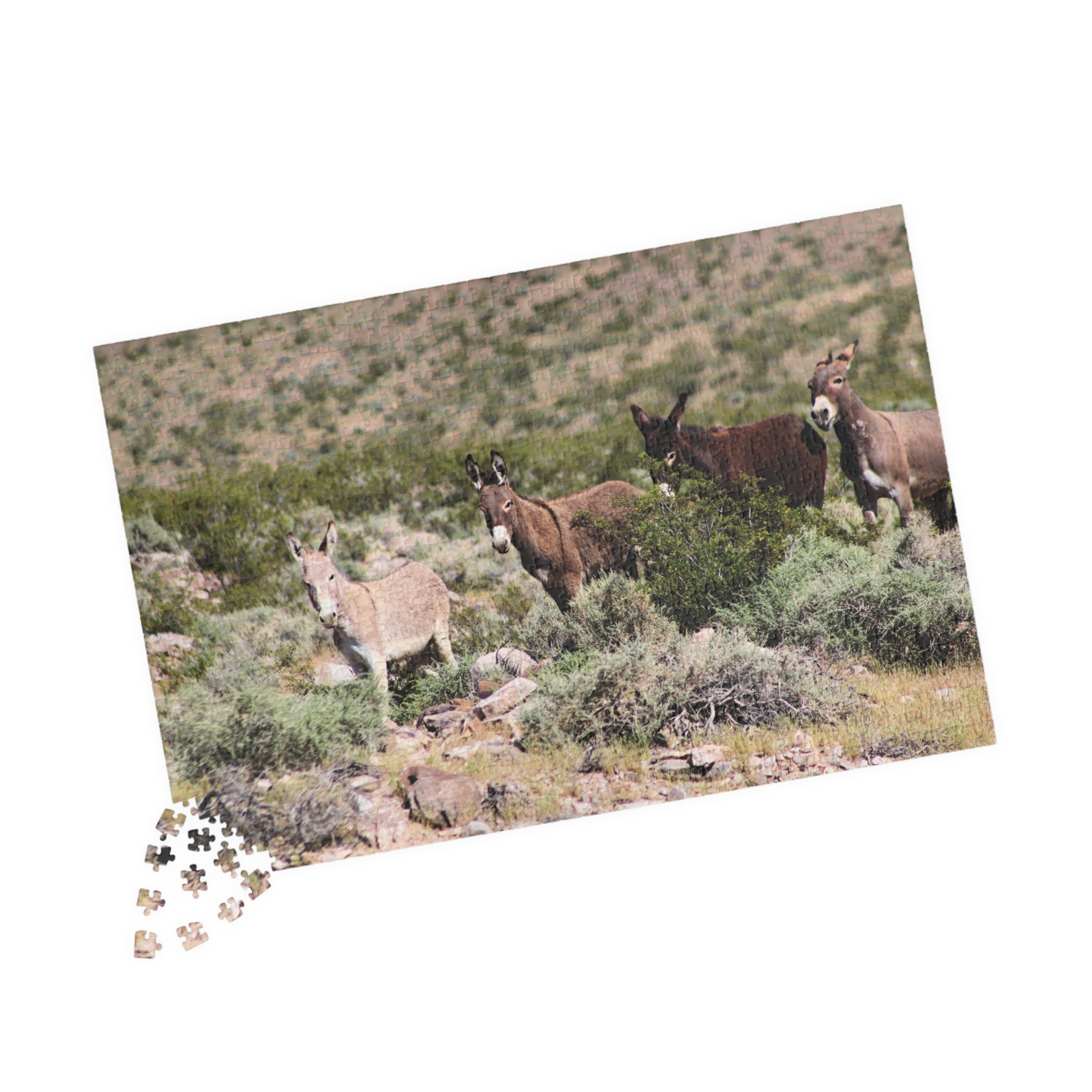 Wild Donkey Family Puzzle Featuring Original Scenic Photography of Western Nevada Landscape - Image 15