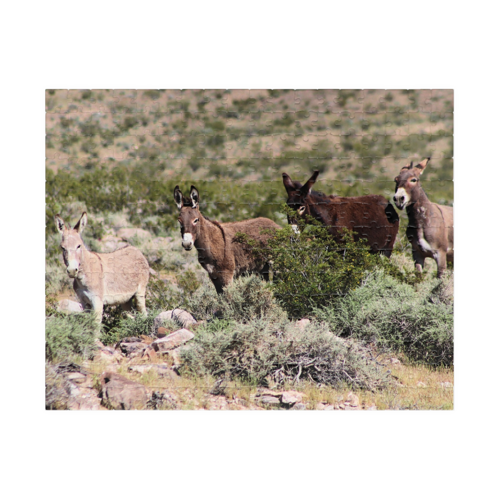 Wild Donkey Family Puzzle Featuring Original Scenic Photography of Western Nevada Landscape - Image 5