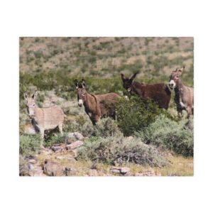 Wild Donkey Family Puzzle Featuring Original Scenic Photography of Western Nevada Landscape