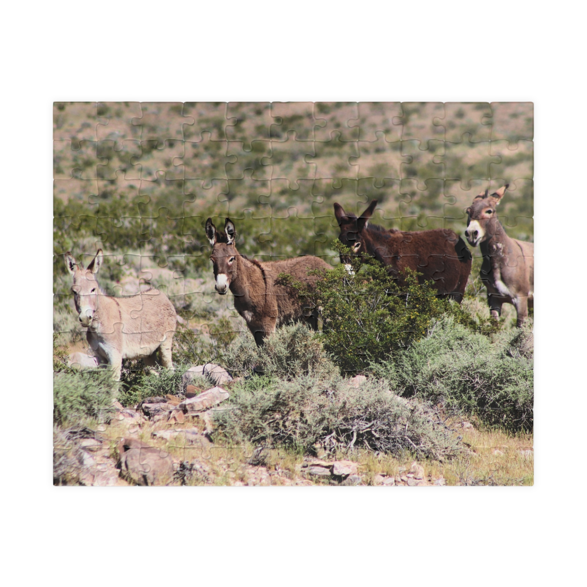 Wild Donkey Family Puzzle Featuring Original Scenic Photography of Western Nevada Landscape