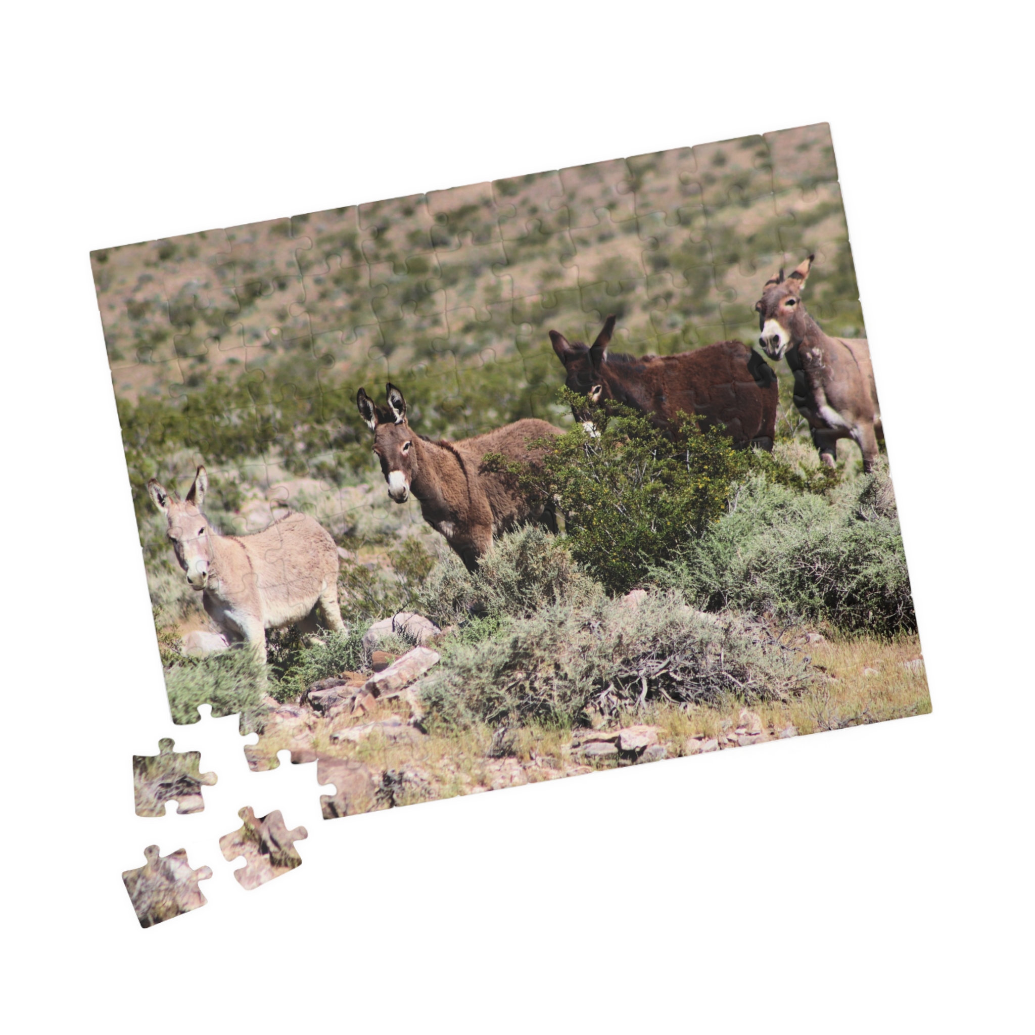 Wild Donkey Family Puzzle Featuring Original Scenic Photography of Western Nevada Landscape - Image 3