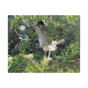 American Roadrunner in Arizona Landscape Puzzle Featuring Original Photography