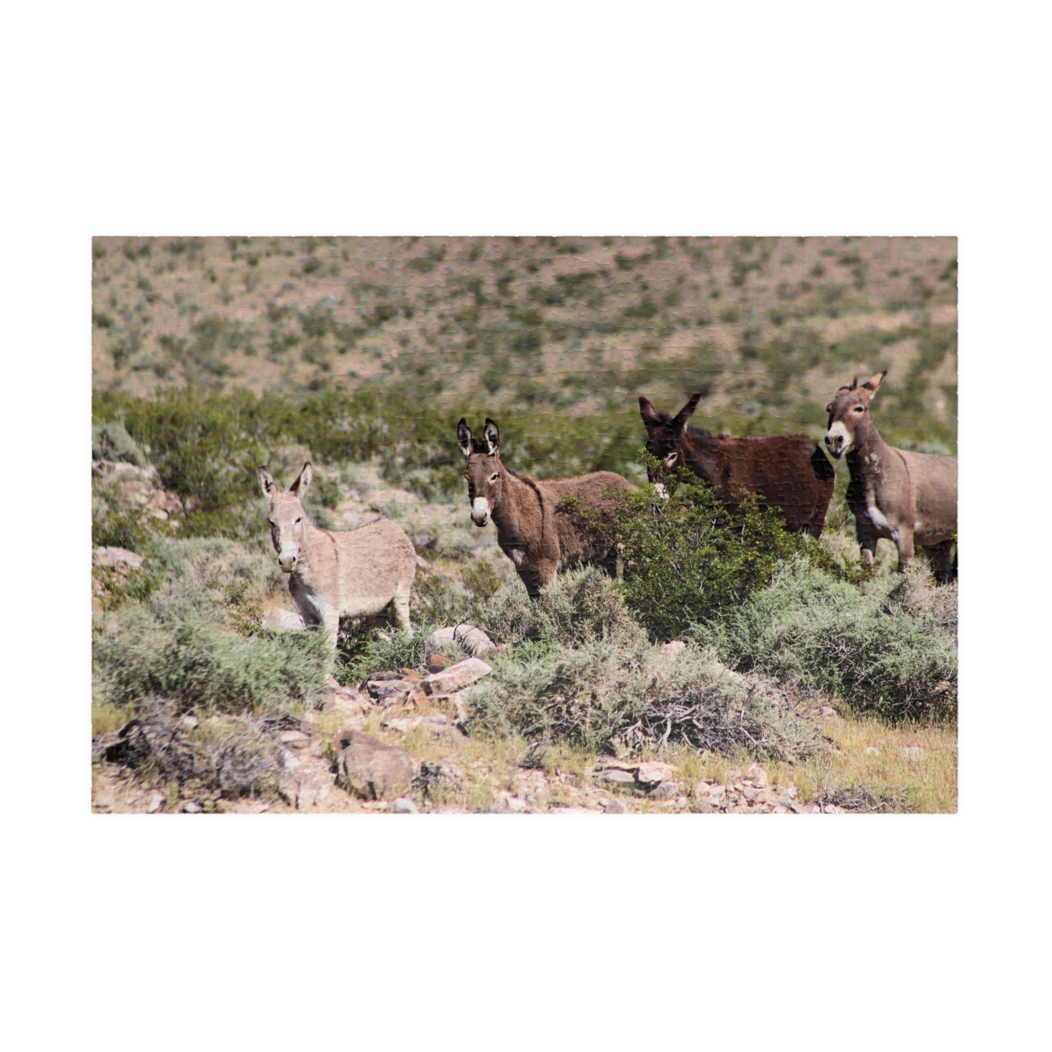 Wild Donkey Family Puzzle Featuring Original Scenic Photography of Western Nevada Landscape - Image 13